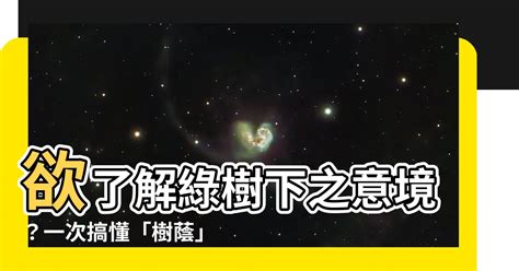 樹蔭意思|樹蔭 的意思、解釋、用法、例句